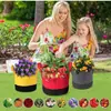 Bandejas para cultivo de plantas transfronterizas de gran tamaño, bolsas para plántulas de jardinería, bolsas de plantación de tela no tejida engrosada y duradera