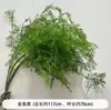 Verdor para Bodas Plantas Artificiales Arreglo Floral Gypsophila Eucalipto Estilo Natural Flores Artificiales Flores de Seda Decoración de Boda Materiales Florales