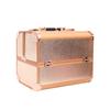 Nuevo Estuche Cosmético Color Oro Rosa 2022 Gran Capacidad Alto Valor de Color Multifuncional Aleación de Aluminio Bolsa de Almacenamiento para Uñas, Arte de Uñas, Bordado