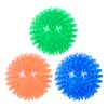Pelota para Perro con Sonido Popular de Amazon, Espina, Resistente a Mordidas, Juguete para Mascotas Tpr Elástico, Juguete Interactivo para Perro, Pelota, Fabricante