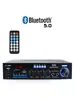 Mini Amplificador Pequeño Máquina Ranura para Tarjeta Multifuncional Bluetooth Amplificador para Hogar y Coche 12 Voltios 220V