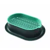 Kit de Cultivo de Hierba para Gatos Maceta con Semillas de Trigo para Gatos de Interior