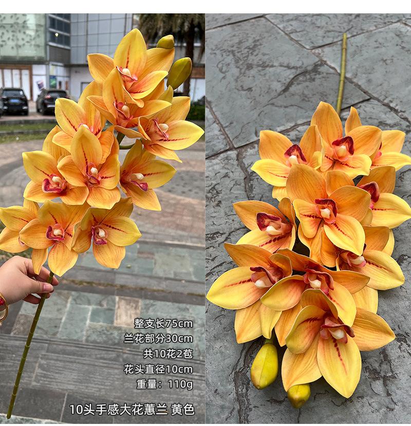 聚美-10头手感大花蕙兰-详情_16.jpg