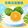 Naranjas Miel de Concha Verde Yuxi Yunnan, entrega directa 3/ 2.5kg Maduración temprana jugosas dulces y ácidas fruta fresca de temporada en cajas completas