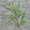 Folhas de samambaia artificiais e plantas verdes para decoração, acessórios para cena de casamento, plantas artificiais para decoração de interiores