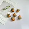 Pendientes de Planta Fruta Bellota Hechos a Mano DIY Fruta Pendientes Personalizados Creativos Material Chica Linda Pendientes Retro