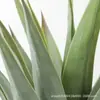 Espada de agave artificial sisal azul planta verde tropical floresta tropical deserto decoração paisagem decoração de chão vitrine