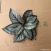 Novo cata-vento pequeno folhas simuladas folhas de pavão materiais para parede de plantas folhas de melancia coração branco sempre-verde bonsai em forma de guarda-chuva