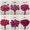 Atacado Eterna Flor Bola de Ouro Decoração de Natal para Casa DIY Material de Flor Seca Flor Real Fábrica de Vento Nórdico