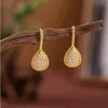 Brincos de Argola Gancho de Peixe Geométricos em Forma de Gota d'Água Europeus e Americanos Mais Vendidos na Fronteira, Brincos de Nicho de Alta Qualidade Estilo Ins para Mulheres