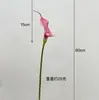 Flor Artificial Realista de Lirio Calla Blanco Alocum de Alta Calidad Modelo de Habitación Simulación Disparo de Boda Flor para Sostener en Foto