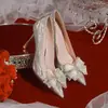 Zapatos de boda de una sola tira color champán francés, zapatos de novia para mujer otoño/invierno, nuevo estilo 2026, vestido de novia He Xiu, versátiles para boda y compromiso, tacones altos