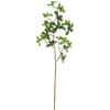 Planta verde de simulación de alta gama, hoja de Elemene de una sola rama, reloj colgante, hoja de Ma borracho, decoración del hogar, flores falsas, accesorios de fotografía, paisajismo