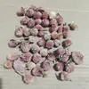 Liquidação de Baixo Preço de Flores Secas de Yunnan, Cabeças de Flores Mini de Cor Original no Atacado, Flor de Ameixa Roxa-Vermelha de Mil Dias para DIY