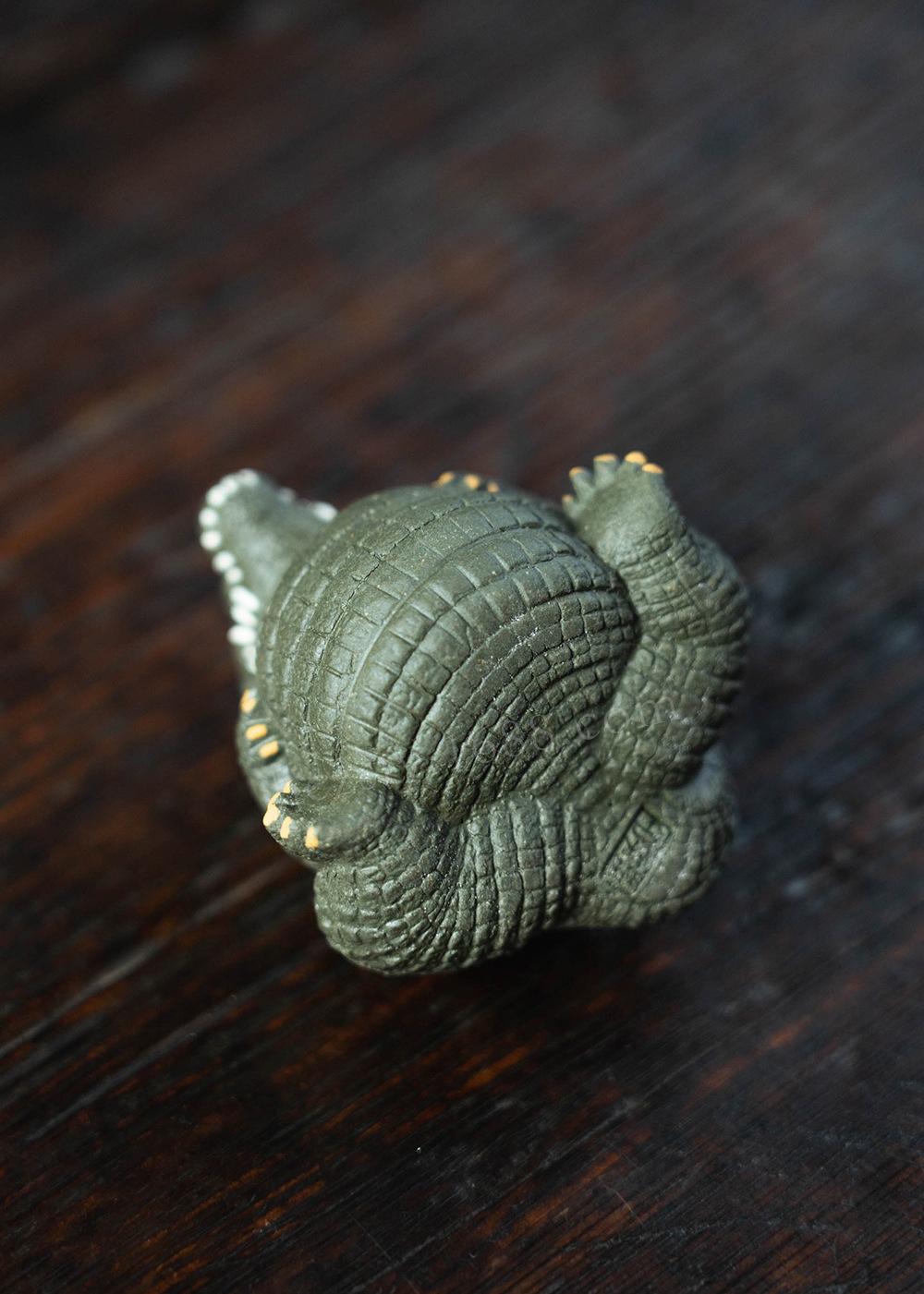 紫砂鳄鱼20230130 (12).jpg