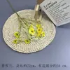 Flores Artificiais Coloridas de Dopamina para Montagem de Cena de Casamento, Arranjos de Flores de Seda, Materiais Florais, Flores para Decoração de Painel de Casamento