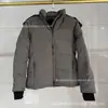 E-commerce Transfronteiriço Modelo Big Goose 04 3804L Outono/Inverno Moda Feminina Jaqueta Puffer com Capuz Clássica Versátil Moda Jaqueta