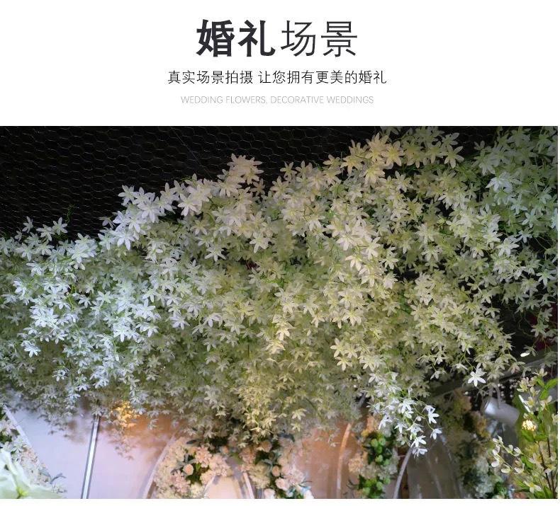 微信图片_202104221530121