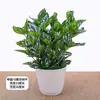 Planta Verde Flor Artificial Bonsái Adornos para Sala de Estar, Dormitorio, Hotel, Decoración de Club, Plantas en Maceta Rábano Verde