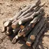 Lenha Seca, Lenha Durável para Acampamento, Fogueiras, Aquecimento, Lareiras, Lenha para Rachar, Fogões a Lenha, Queima de Madeira Doméstica, Madeira para Exterior