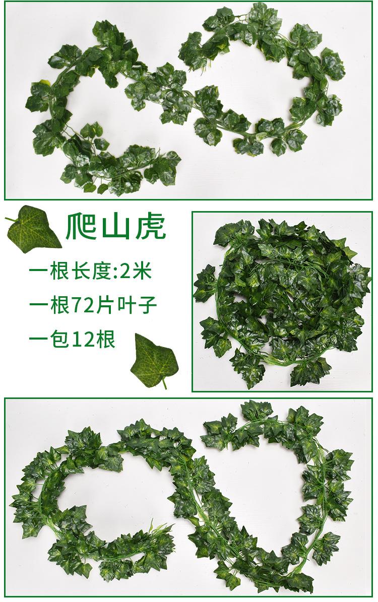 藤条1_08