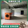 Equipamento de Secagem Comercial em Larga Escala para Sementes de Abóbora, Casca de Abóbora e Fruto de Abóbora. Secador de Sementes de Abóbora