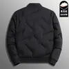 Jaqueta de Penas Quente com Gola Baseball para Homens de Meia-Idade, Jaqueta de Penas de Pato Cinza com Gola Alta para Negócios, Lapela de Moda Masculina