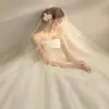 Véu de Noiva Transparente Camada Única de Cristal Coreano Liso Alta Definição Casamento Noiva Casamento Toque de Luxo Véu para Fotografia de Estúdio Peça Única