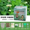 Plantas en Maceta Hechas a Mano para Niños Estudiantes de Primaria para Observar el Crecimiento de las Plantas Cultivo y Germinación DIY Mini Plantas Verdes en Maceta