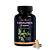 Cápsulas Docteat para el Cuidado del Cuerpo Fórmula Herbal Suave Cápsulas Diarias para Mejorar el Estado de Ánimo y la Concentración