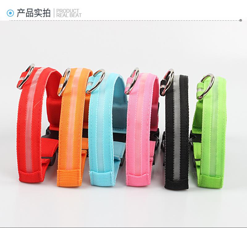 发光项圈