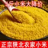 Shaanxi Huangxiao 2025 Arroz Fresco de Yan'An, Shaanxi, Arroz Amarillo Xiao Rico en Aceite, Arroz para Bebés, Arroz Postparto, Granos para Gachas