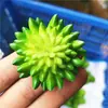 Simulación planta suculenta súper grande tamaño pequeño suculenta bonsái planta verde flor de plástico en maceta micro paisaje con pared vegetal