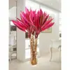 Flores Hidropônicas de Bambu da Sorte, Plantas Hidropônicas de Bambu da Sorte, Plantas em Vasos, Plantas de Guanyin, Purificação do Ar de Ambientes Internos o Ano Todo