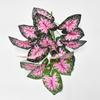 Simulação transfronteiriça verde planta calla lírio feltro folha de borracha decoração de casa bonsai bonsai jardim paisagem ornamentos planta parede