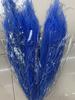 Elongus longiserus flor eternus hierba peluda boda hogar diseño suave flor madera hoja madera planta de ratán eterno longiserus