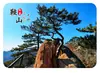 Anshan Qianshan Pinheiro Acolhedor Pedras Estranhas Adesivo de Geladeira de Vidro Montanha de Pinheiros e Pedras Gigantes Floresta Escultura em Pedra Vista da Montanha Lembrança Ornamento de Sucção Magnética