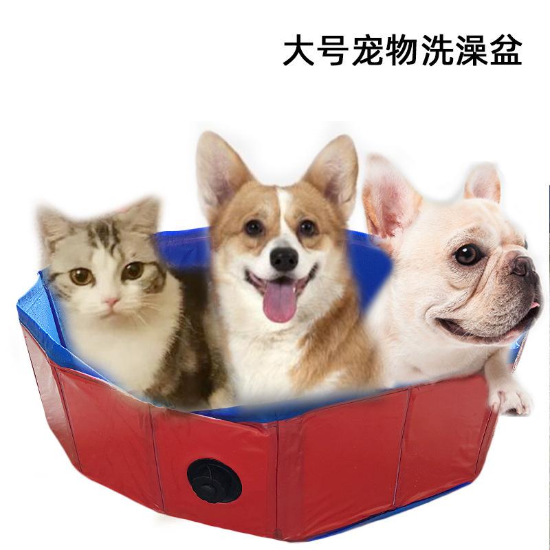 宠物盆 封面2.jpg