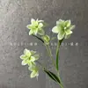 5 Flores de Magnolia Artificiales para Arreglo Floral en Salón de Banquetes de Boda, Decoración para Fotografía al Aire Libre, Venta al por Mayor de Flores Artificiales Transfronteriza, Ecológico