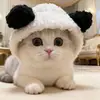 Sombreros para mascotas transfronterizos, gorros cálidos de invierno, sombrero de disfraz, sombrero para mascota de pollito, sombrero lindo para mascota de gato y perro pequeño