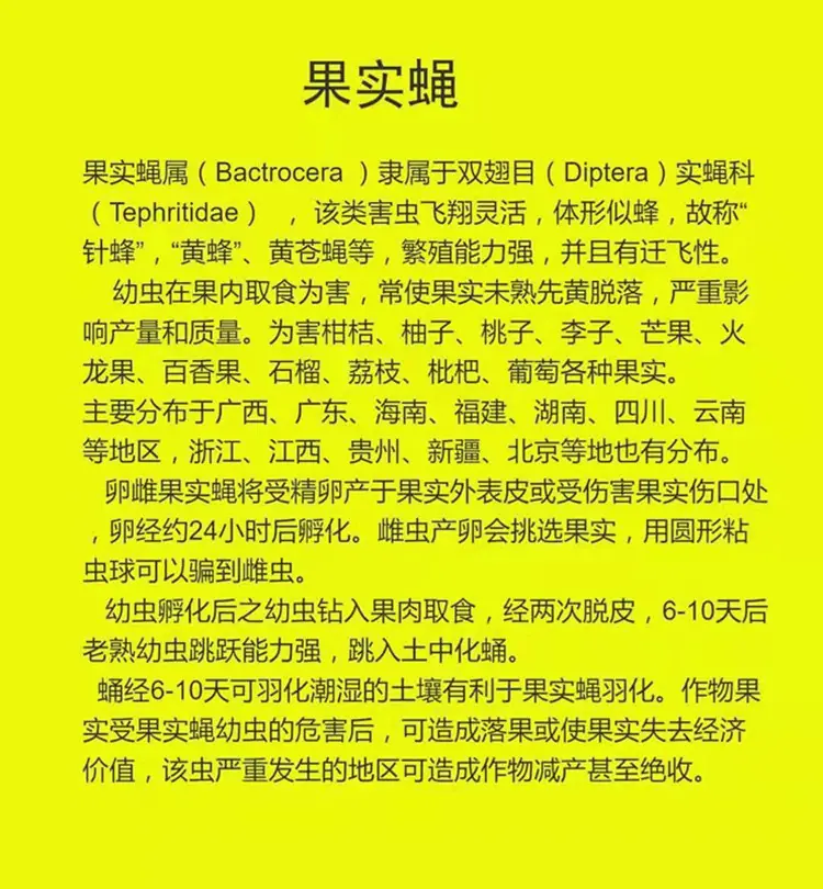 详情7.jpg