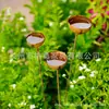 Bestseller transfronterizo: Colector de Agua de Lluvia de 3 Tazas Individuales Oxidado para Decoración de Jardín y Patio