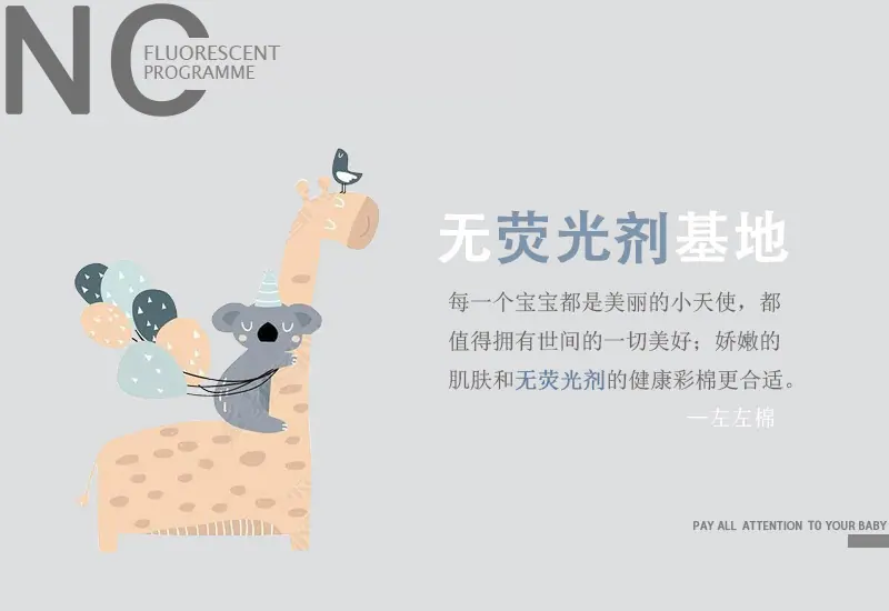 左左棉