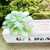 Adornos de Plantas Suculentas, Combinación de Flores de Plantas Verdes Artificiales, Decoración Estilo Ins, Creación de Anillos para Rincón de Plantas en Jardín de Infancia