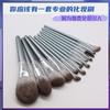 Set de 10 Brochas de Maquillaje, Brocha para Iluminador de Cerdas Suaves, Brocha para Polvos Sueltos, Brocha para Rubor, Set Completo de Brochas, Herramientas de Belleza, Set de Brochas de Maquillaje