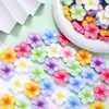 Acessórios de Resina Planos de Flor de Cinco Pétalas de Cor Sólida Cristalinos para Capas de Celular, Grampos de Cabelo, Decorações DIY, Ímãs de Geladeira, Roupas e Fivelas de Sapato