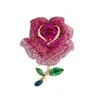 Transmissão ao Vivo Popular Broche de Flor de Alta Qualidade Corsage de Moda Outono e Inverno Pin de Design Nicho de Alta Qualidade Acessórios Elegantes