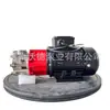 Suministro de Bomba Magnética de Alta Temperatura Whitward Mdw-033 Acero Inoxidable Horizontal Alta y Baja Temperatura Bomba de Circulación de Aceite con Accionamiento Magnético