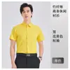 Vestido para Entrevista de Emprego Camisa Branca de Manga Longa e Curta Roupas de Trabalho para Banco Unissex Tamanho Grande Camisa Profissional terno