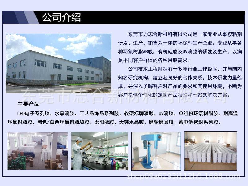 6公司介绍